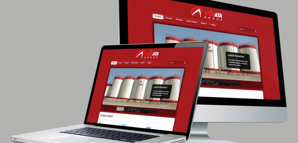 Ekinata Lojistik Web Tasarım