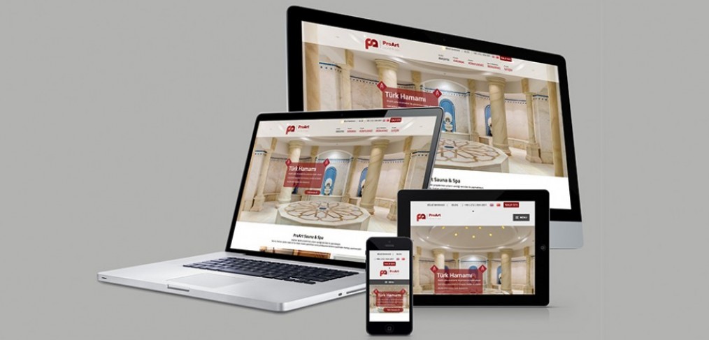 ProArt Web Site Tasarımı