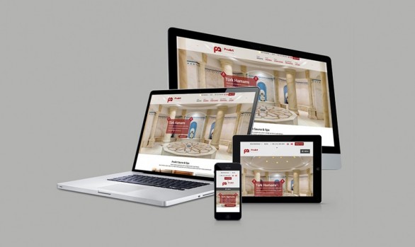 ProArt Sauna Web Tasarımı