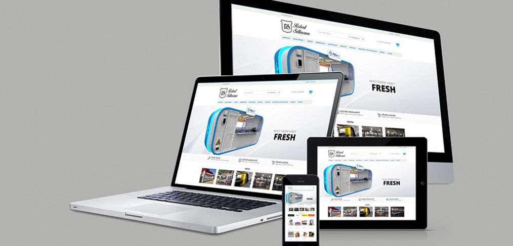 Robert Seltmann Web Site Tasarımı